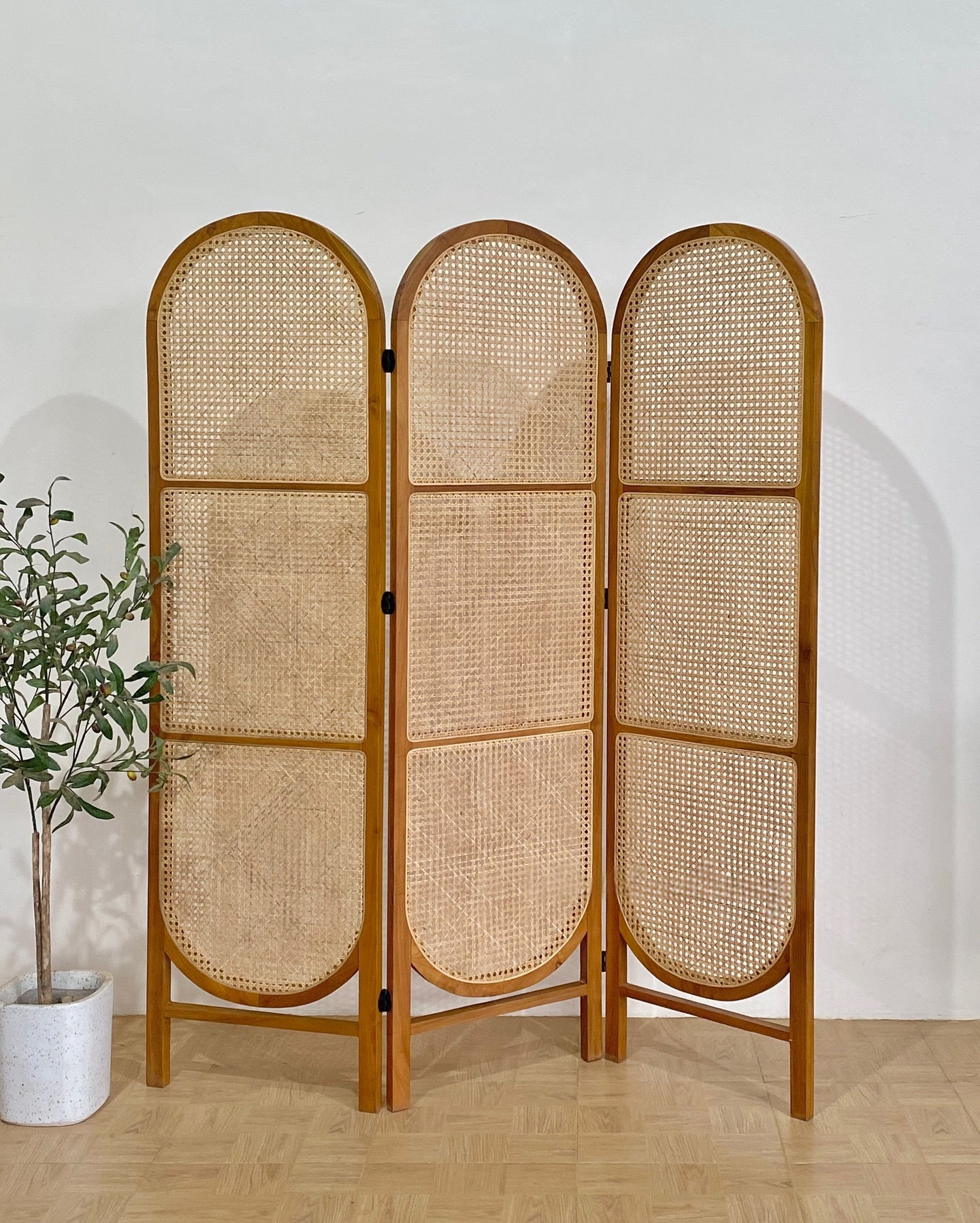 Natural Rattan Partition for Home Décor | Wooden Cane Screen