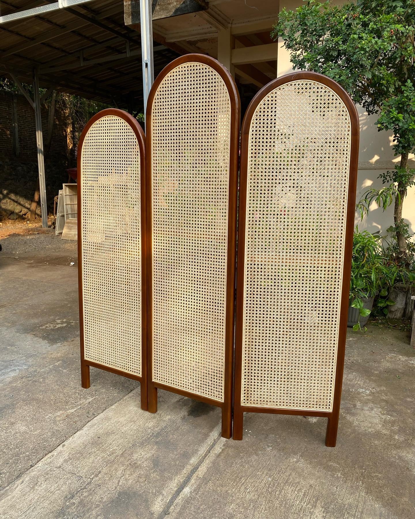 Handcrafted Wooden Cane Screen | Room Divider & Partition