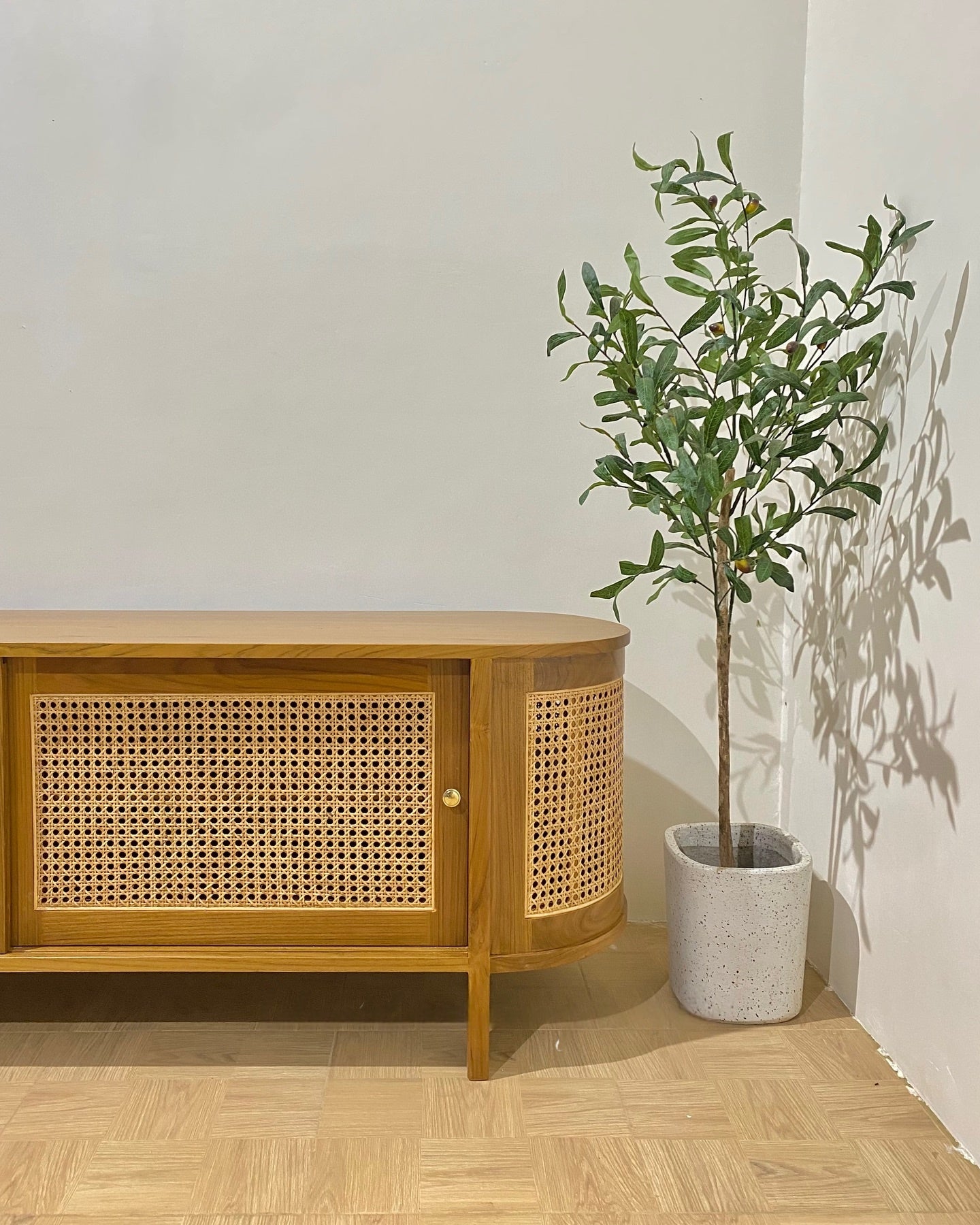 Solid Wood TV Unit with Storage for Living Room