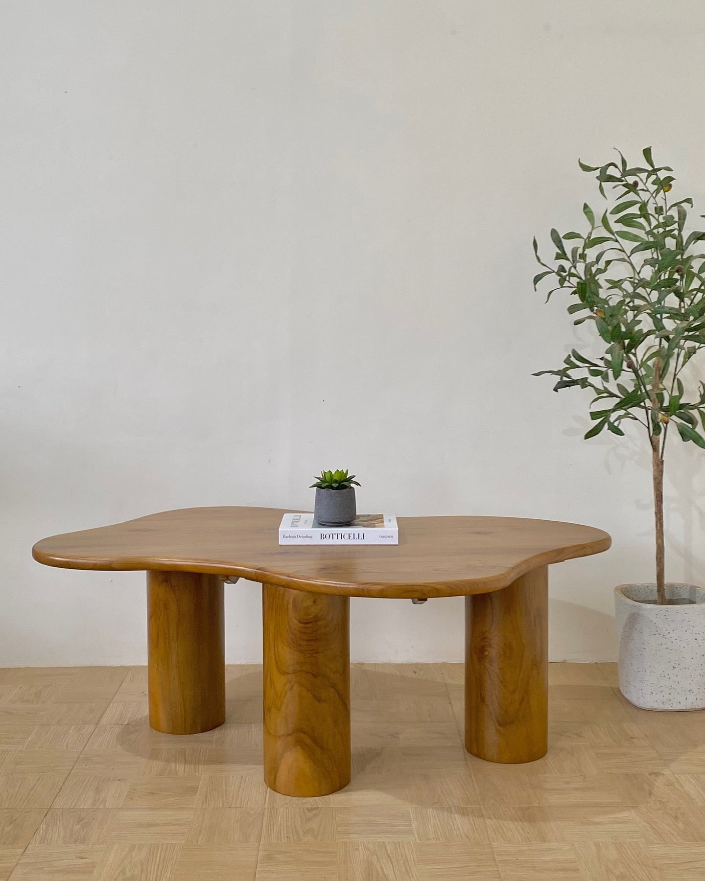 High-End Modern Coffee Table with Elegant Finishing