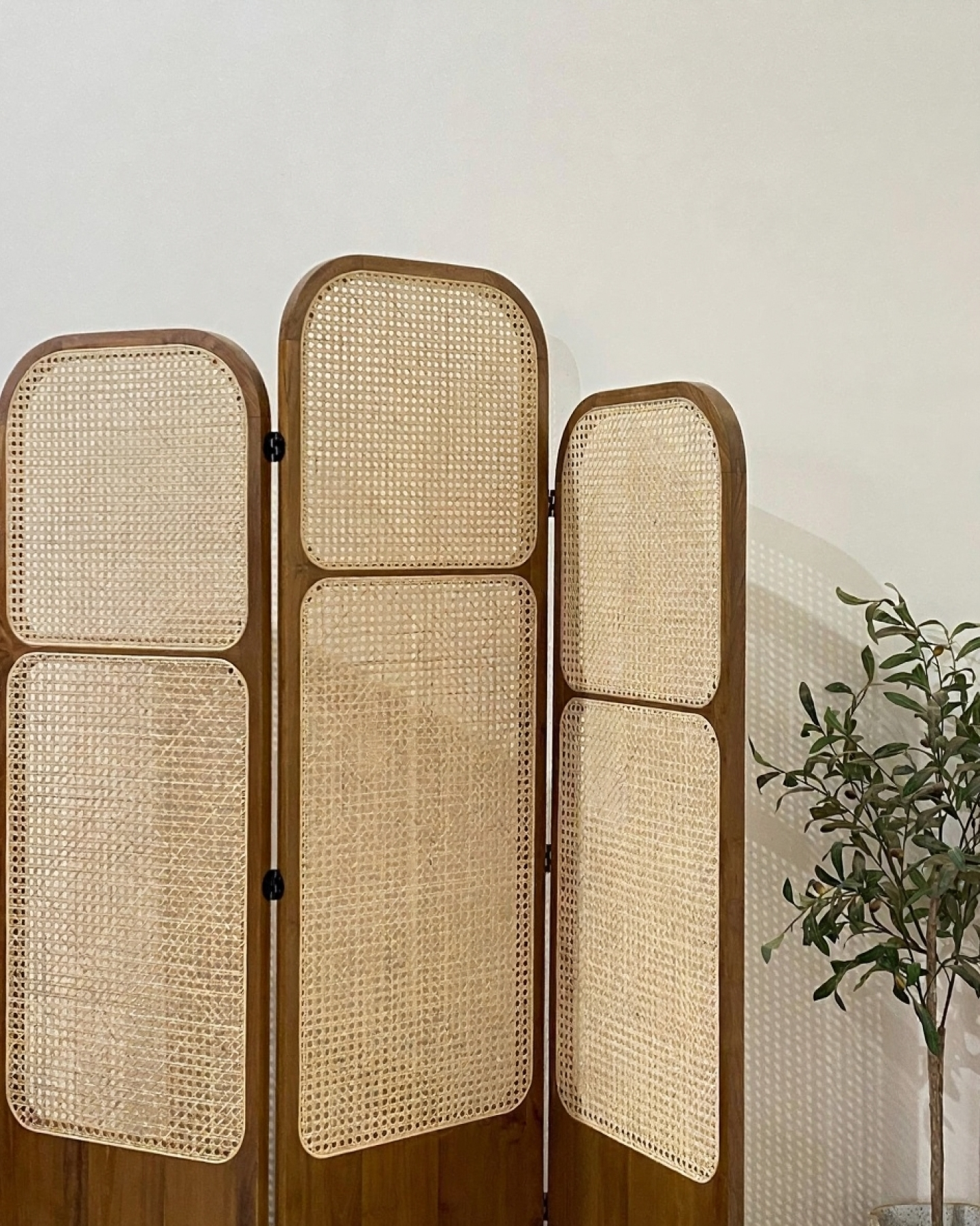 Handcrafted Wooden Cane Screen | Natural Rattan Partition