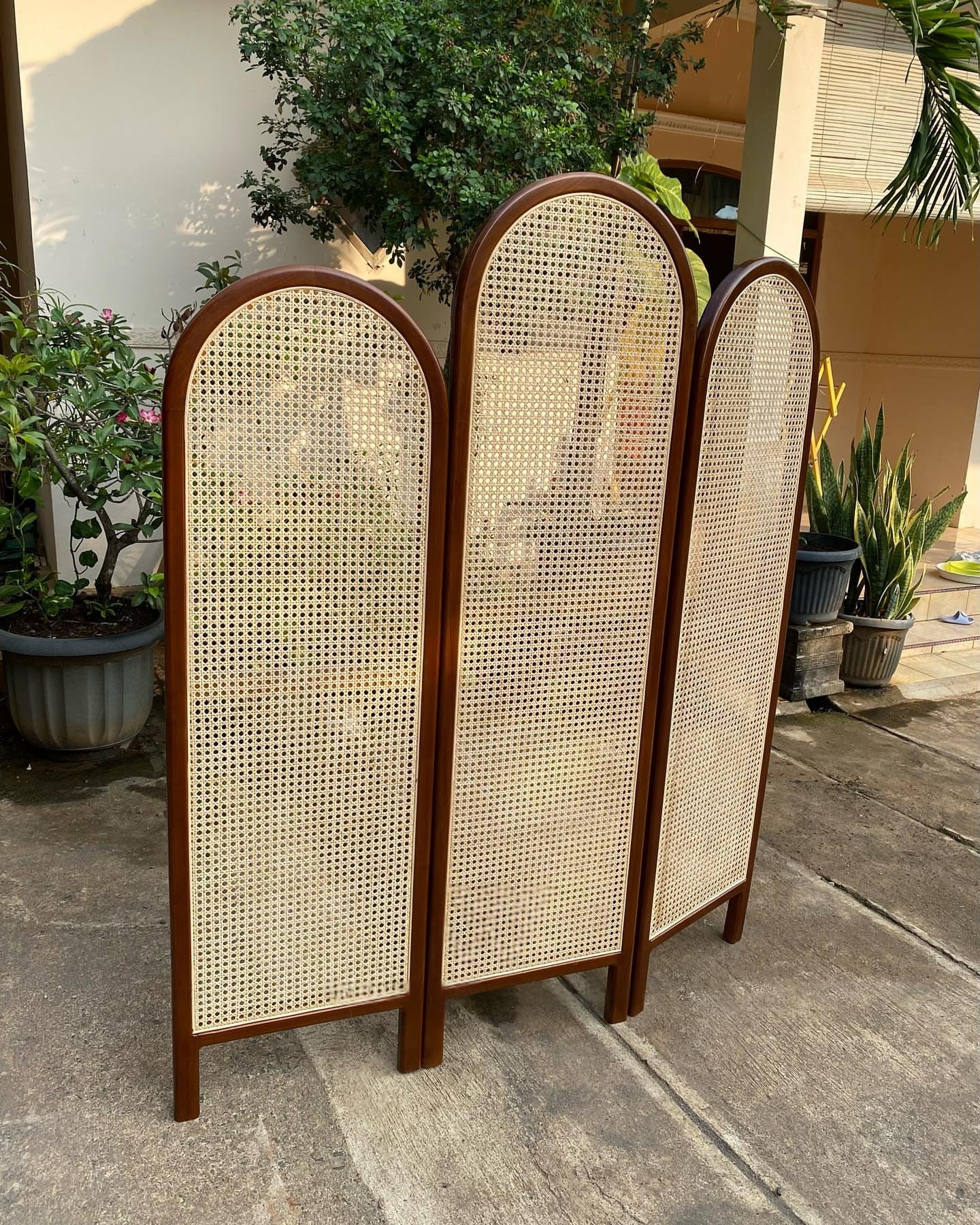 Handcrafted Wooden Cane Screen | Room Divider & Partition