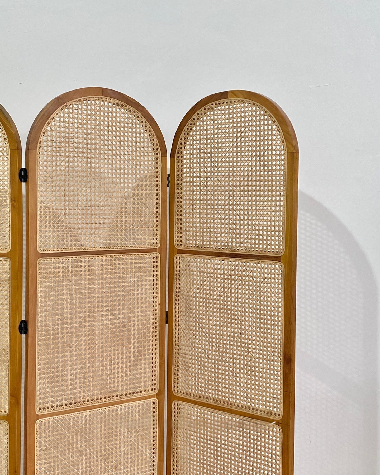 Natural Rattan Partition for Home Décor | Wooden Cane Screen