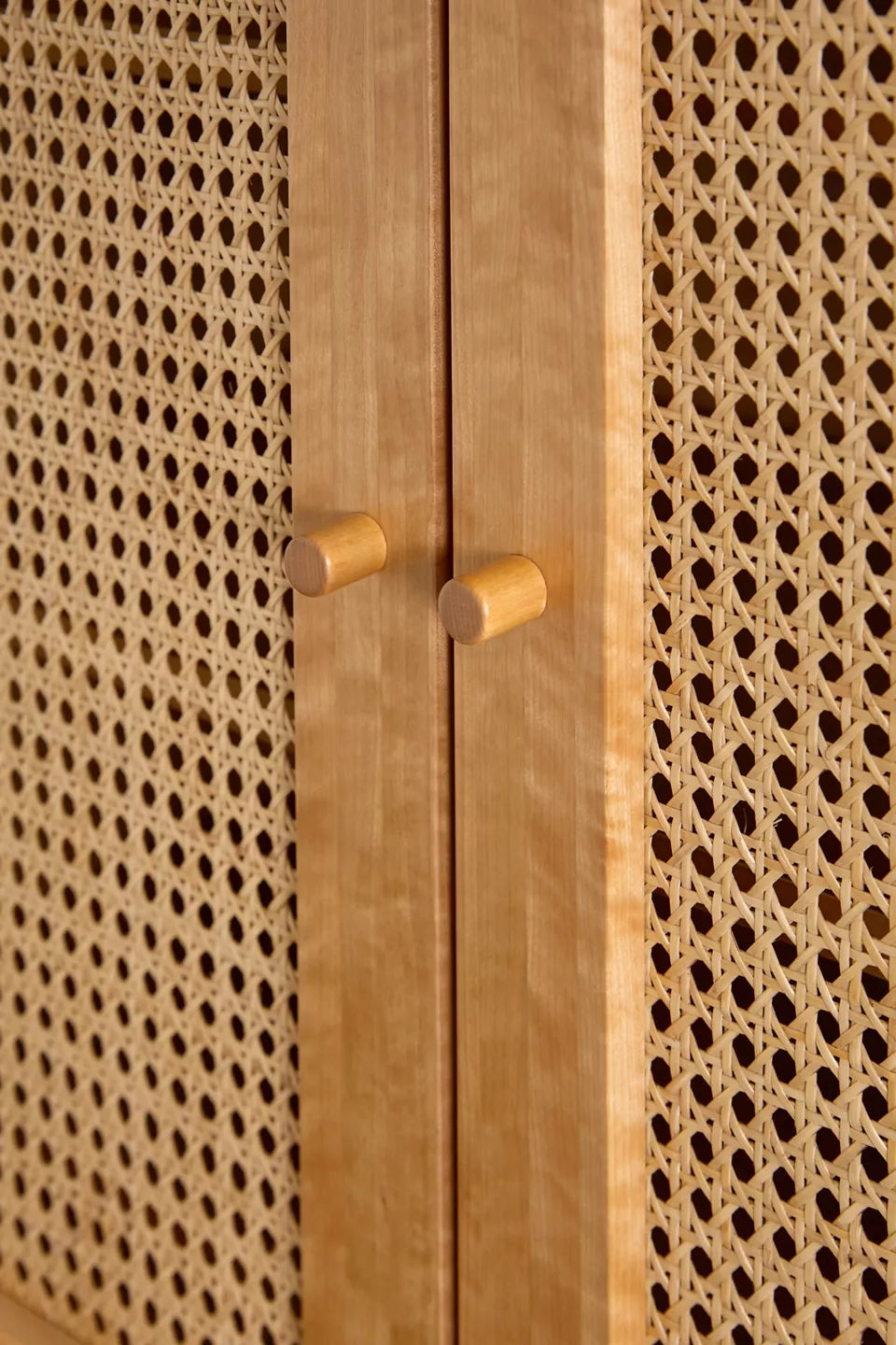 Designer Wooden Storage Cabinet with Modern Appeal