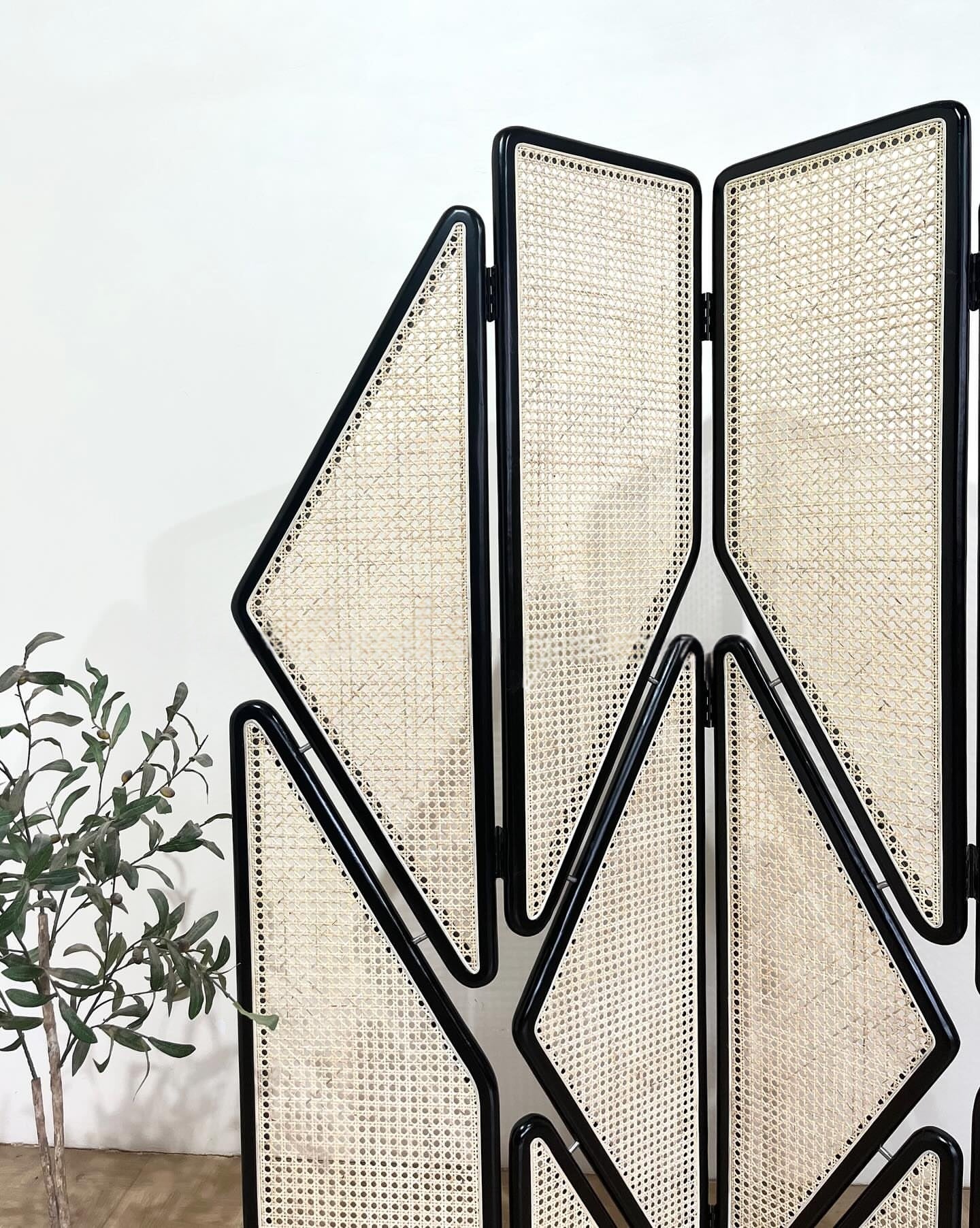 Wooden Cane Screen Room Divider & Partition