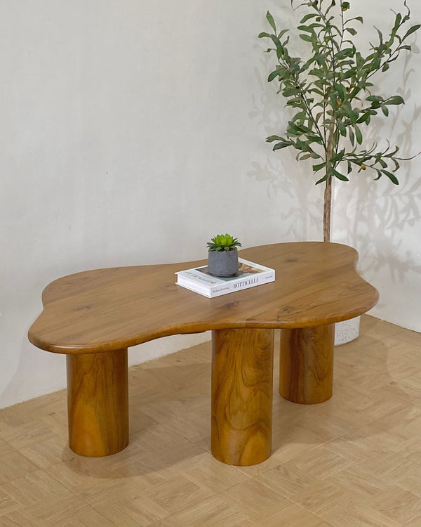 High-End Modern Coffee Table with Elegant Finishing