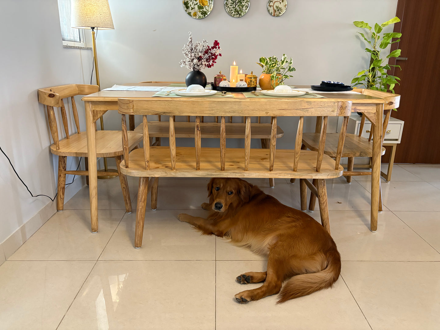 Premium Dining Table Set for Modern Homes