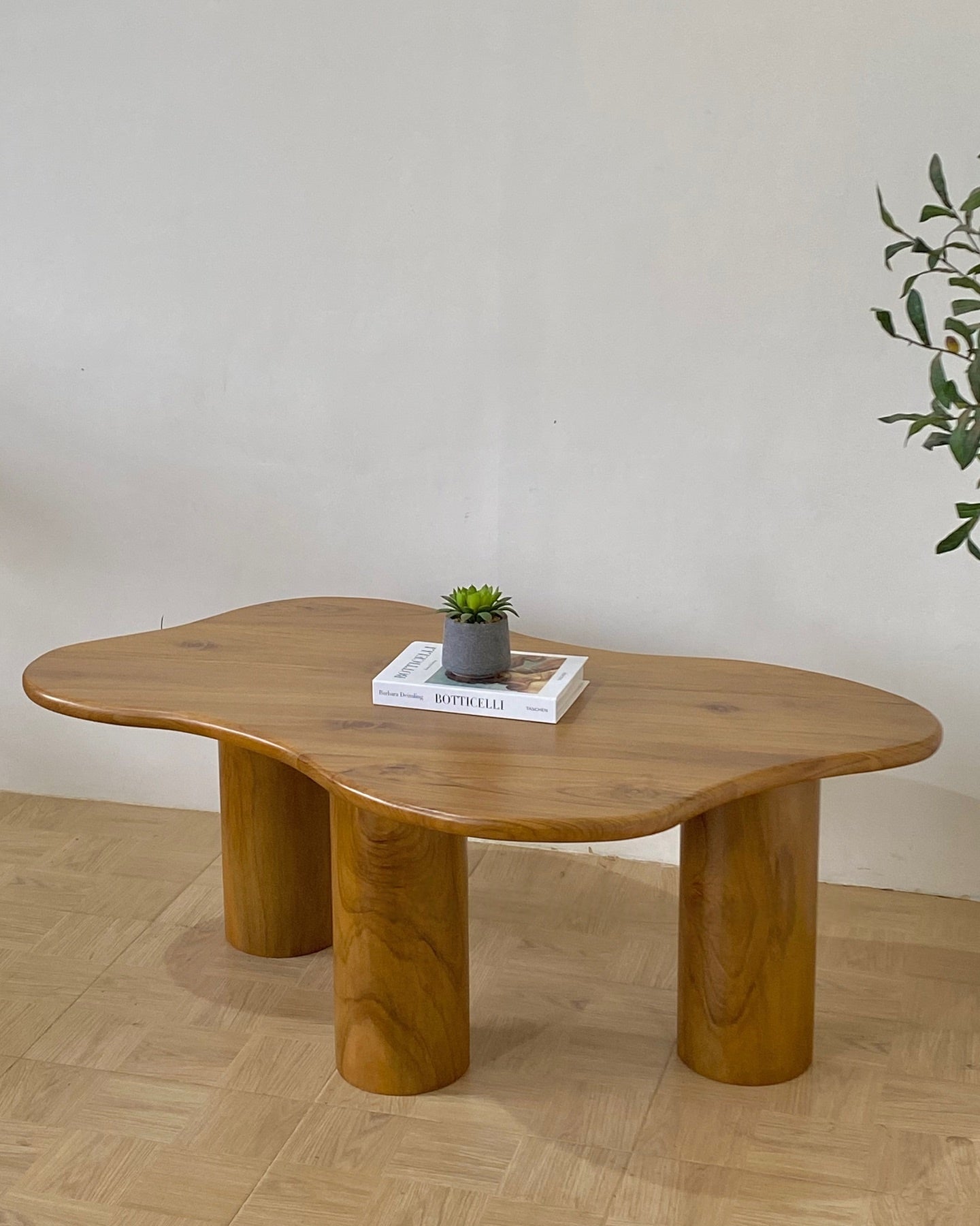 High-End Modern Coffee Table with Elegant Finishing