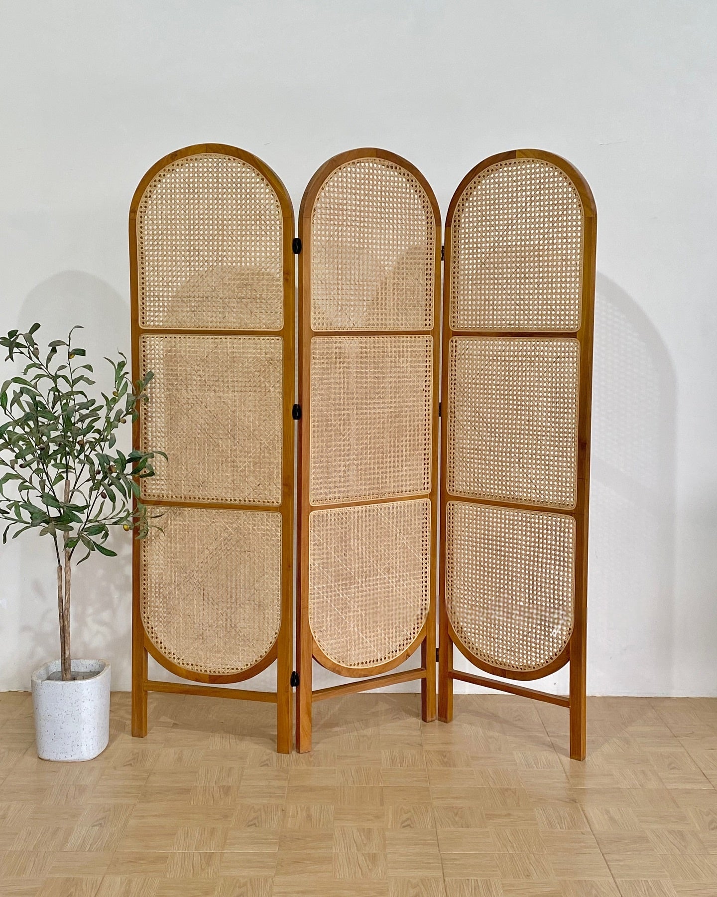 Natural Rattan Partition for Home Décor | Wooden Cane Screen