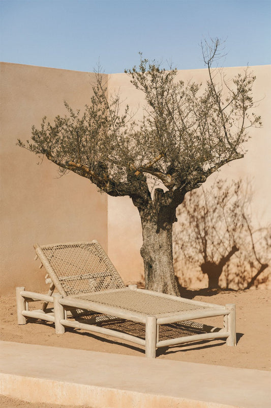 Minimalist Designer Chair with Solid Wooden Frame