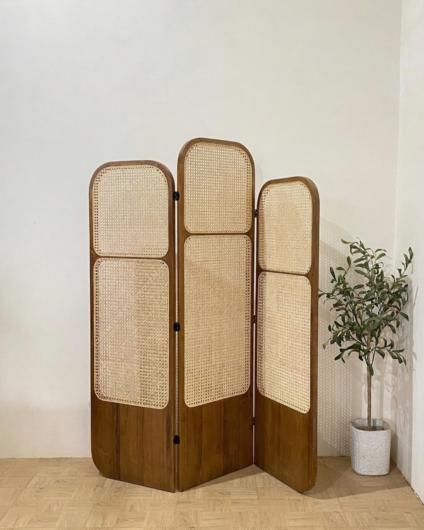 Handcrafted Wooden Cane Screen | Natural Rattan Partition