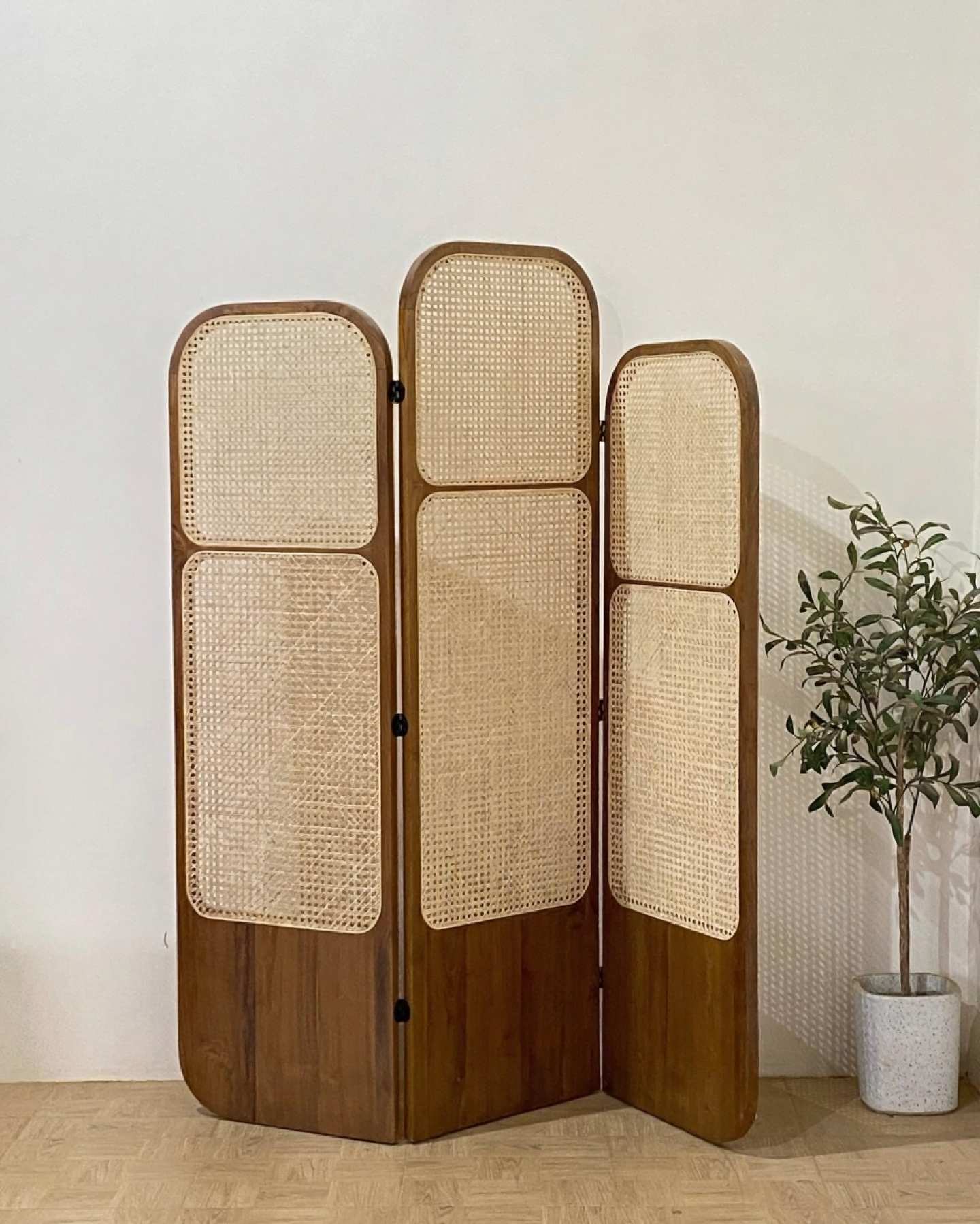 Handcrafted Wooden Cane Screen | Natural Rattan Partition