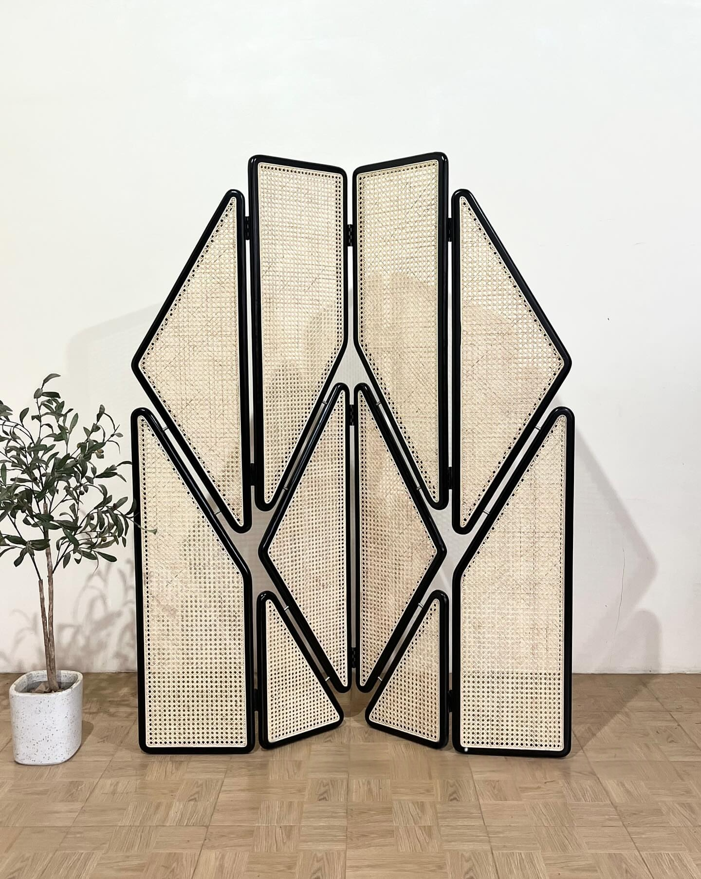 Wooden Cane Screen Room Divider & Partition